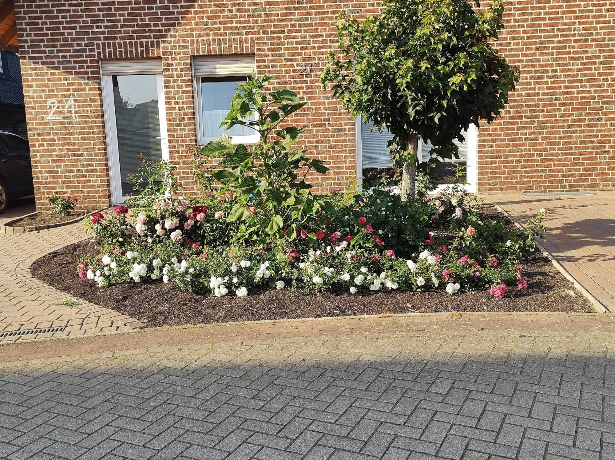 Fewo Holunderbusch Saerbeck Esterno foto